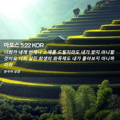 Picture 02 - 아모스 5:22 KOR - 너희가 내게 번제나 소제를 - Bible Verse Picture