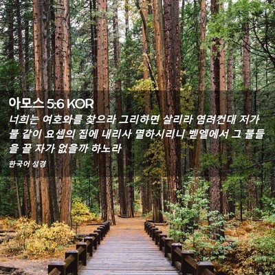 Picture 02 - 아모스 5:6 KOR - 너희는 여호와를 찾으라 그리하면 - Bible Verse Picture