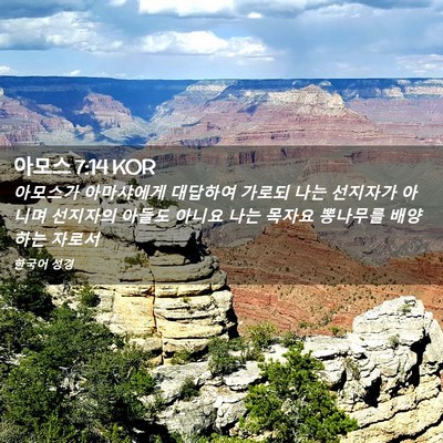 Picture 02 - 아모스 7:14 KOR - 아모스가 아마샤에게 대답하여 - Bible Verse Picture