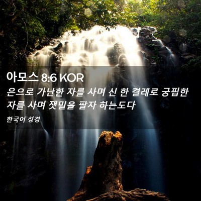 Picture 02 - 아모스 8:6 KOR - 은으로 가난한 자를 사며 신 한 - Bible Verse Picture