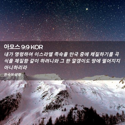 Picture 02 - 아모스 9:9 KOR - 내가 명령하여 이스라엘 족속을 만국 - Bible Verse Picture