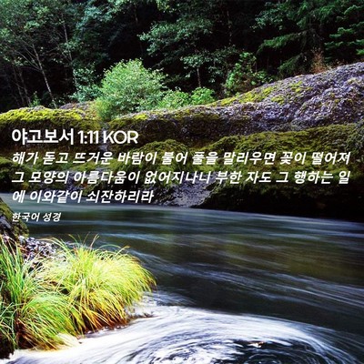 Picture 02 - 야고보서 1:11 KOR - 해가 돋고 뜨거운 바람이 불어 풀을 - Bible Verse Picture