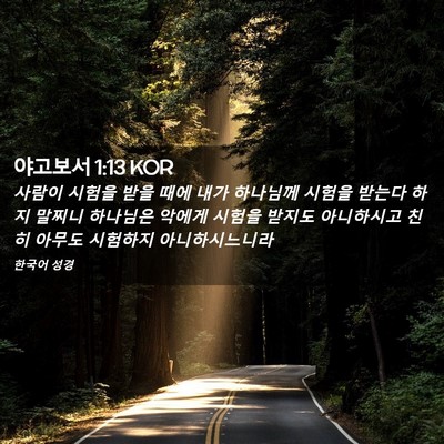 Picture 02 - 야고보서 1:13 KOR - 사람이 시험을 받을 때에 내가 - Bible Verse Picture