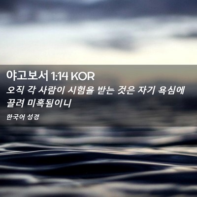 Picture 02 - 야고보서 1:14 KOR - 오직 각 사람이 시험을 받는 것은 - Bible Verse Picture