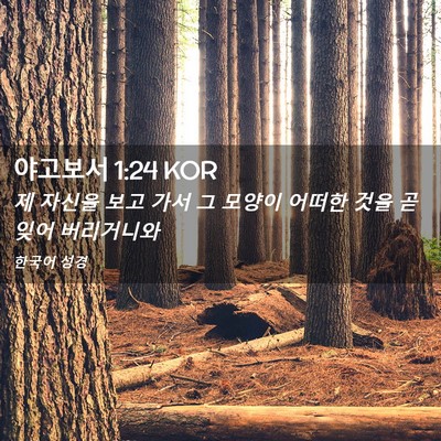 Picture 02 - 야고보서 1:24 KOR - 제 자신을 보고 가서 그 모양이 - Bible Verse Picture