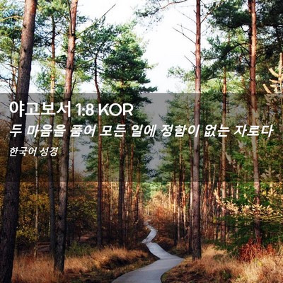 Picture 02 - 야고보서 1:8 KOR - 두 마음을 품어 모든 일에 정함이 - Bible Verse Picture