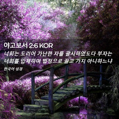 Picture 02 - 야고보서 2:6 KOR - 너희는 도리어 가난한 자를 - Bible Verse Picture