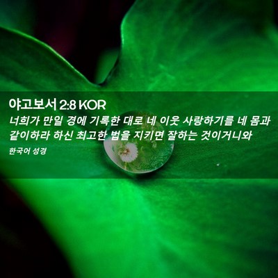 Picture 02 - 야고보서 2:8 KOR - 너희가 만일 경에 기록한 대로 네 - Bible Verse Picture