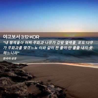 Picture 02 - 야고보서 3:12 KOR - 