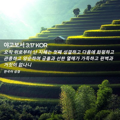Picture 02 - 야고보서 3:17 KOR - 오직 위로부터 난 지혜는 첫째 - Bible Verse Picture
