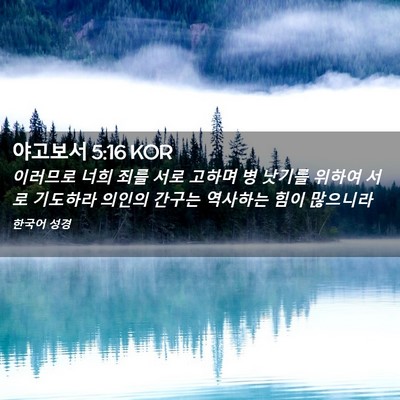 Picture 02 - 야고보서 5:16 KOR - 이러므로 너희 죄를 서로 고하며 병 - Bible Verse Picture
