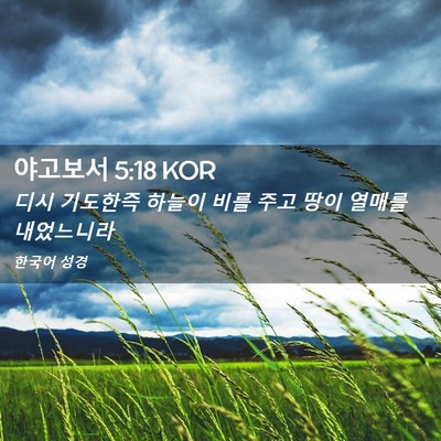 Picture 02 - 야고보서 5:18 KOR - 디시 기도한즉 하늘이 비를 주고 - Bible Verse Picture