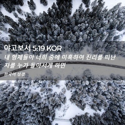 Picture 02 - 야고보서 5:19 KOR - 내 형제들아 너희 중에 미혹하여 - Bible Verse Picture