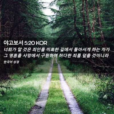 Picture 02 - 야고보서 5:20 KOR - 너희가 알 것은 죄인을 미혹한 - Bible Verse Picture