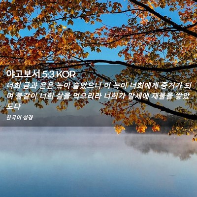 Picture 02 - 야고보서 5:3 KOR - 너희 금과 은은 녹이 슬었으니 이 - Bible Verse Picture