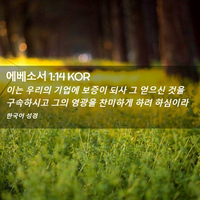 Picture 02 - 에베소서 1:14 KOR - 이는 우리의 기업에 보증이 되사 그 - Bible Verse Picture