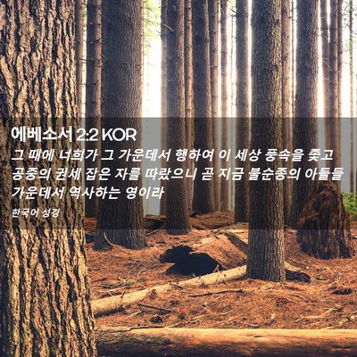 Picture 02 - 에베소서 2:2 KOR - 그 때에 너희가 그 가운데서 행하여 - Bible Verse Picture