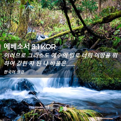 Picture 02 - 에베소서 3:1 KOR - 이러므로 그리스도 예수의 일로 너희 - Bible Verse Picture