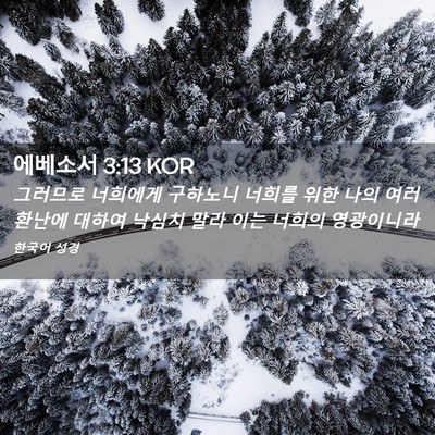 Picture 02 - 에베소서 3:13 KOR - 그러므로 너희에게 구하노니 너희를 - Bible Verse Picture