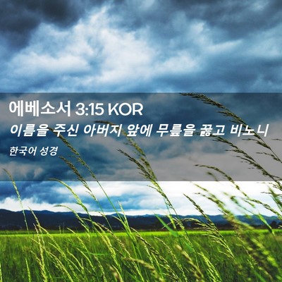 Picture 02 - 에베소서 3:15 KOR - 이름을 주신 아버지 앞에 무릎을 - Bible Verse Picture