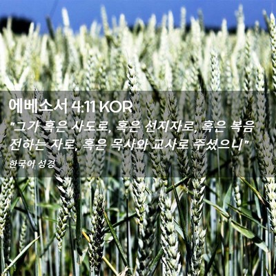 Picture 02 - 에베소서 4:11 KOR - 