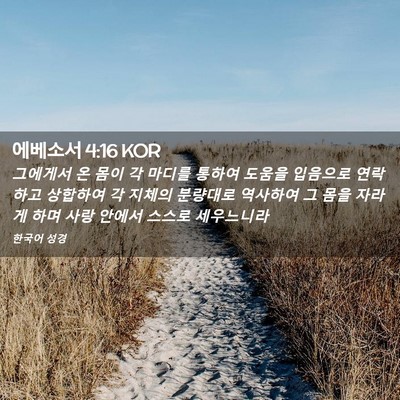 Picture 02 - 에베소서 4:16 KOR - 그에게서 온 몸이 각 마디를 통하여 - Bible Verse Picture