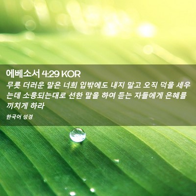 Picture 02 - 에베소서 4:29 KOR - 무릇 더러운 말은 너희 입밖에도 - Bible Verse Picture