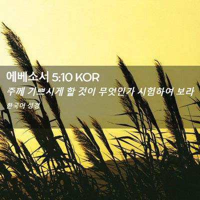 Picture 02 - 에베소서 5:10 KOR - 주께 기쁘시게 할 것이 무엇인가 - Bible Verse Picture