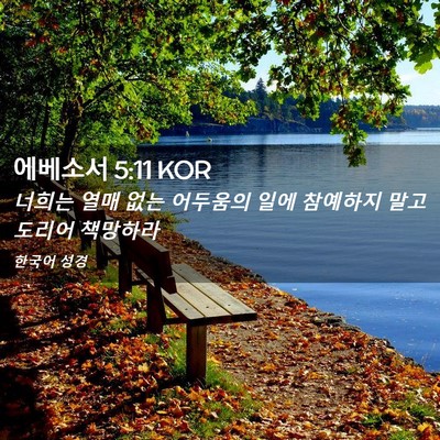 Picture 02 - 에베소서 5:11 KOR - 너희는 열매 없는 어두움의 일에 - Bible Verse Picture