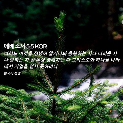 Picture 02 - 에베소서 5:5 KOR - 너희도 이것을 정녕히 알거니와 - Bible Verse Picture