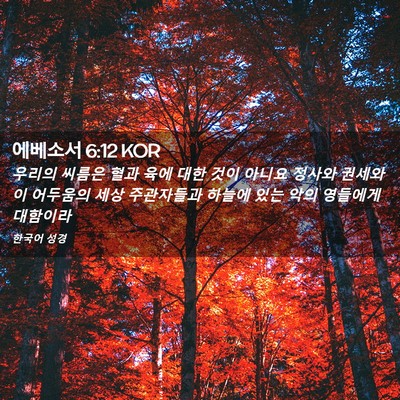 Picture 02 - 에베소서 6:12 KOR - 우리의 씨름은 혈과 육에 대한 것이 - Bible Verse Picture