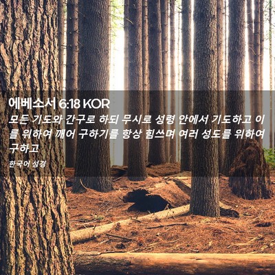 Picture 02 - 에베소서 6:18 KOR - 모든 기도와 간구로 하되 무시로 - Bible Verse Picture