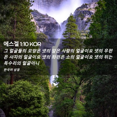 Picture 02 - 에스겔 1:10 KOR - 그 얼굴들의 모양은 넷의 앞은 - Bible Verse Picture