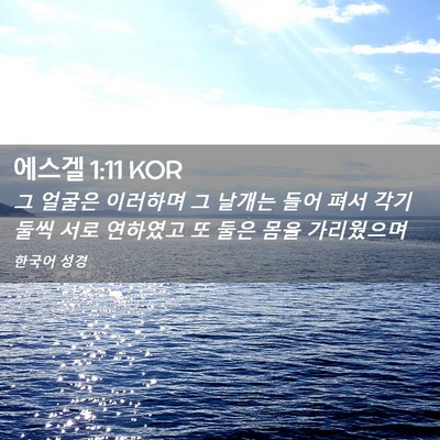 Picture 02 - 에스겔 1:11 KOR - 그 얼굴은 이러하며 그 날개는 들어 - Bible Verse Picture