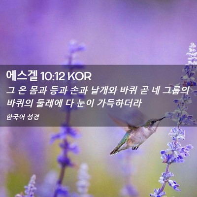 Picture 02 - 에스겔 10:12 KOR - 그 온 몸과 등과 손과 날개와 바퀴 곧 - Bible Verse Picture