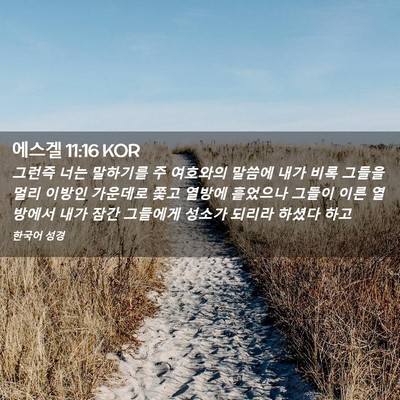Picture 02 - 에스겔 11:16 KOR - 그런즉 너는 말하기를 주 여호와의 - Bible Verse Picture
