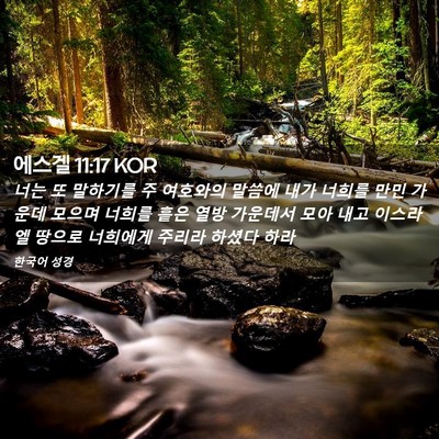 Picture 02 - 에스겔 11:17 KOR - 너는 또 말하기를 주 여호와의 - Bible Verse Picture