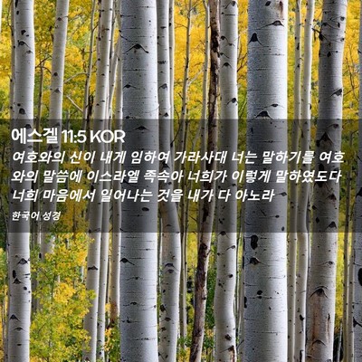 Picture 02 - 에스겔 11:5 KOR - 여호와의 신이 내게 임하여 가라사대 - Bible Verse Picture