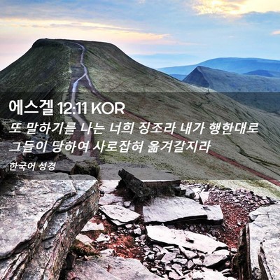 Picture 02 - 에스겔 12:11 KOR - 또 말하기를 나는 너희 징조라 내가 - Bible Verse Picture