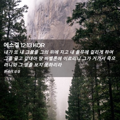 Picture 02 - 에스겔 12:13 KOR - 내가 또 내 그물을 그의 위에 치고 내 - Bible Verse Picture