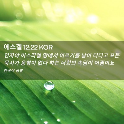 Picture 02 - 에스겔 12:22 KOR - 인자야 이스라엘 땅에서 이르기를 - Bible Verse Picture