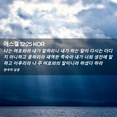 Picture 02 - 에스겔 12:25 KOR - 나는 여호와라 내가 말하리니 내가 - Bible Verse Picture