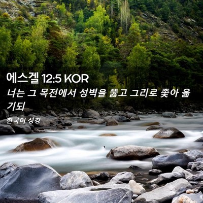 Picture 02 - 에스겔 12:5 KOR - 너는 그 목전에서 성벽을 뚫고 - Bible Verse Picture