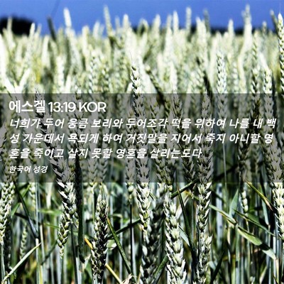 Picture 02 - 에스겔 13:19 KOR - 너희가 두어 웅큼 보리와 두어조각 - Bible Verse Picture