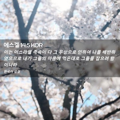 Picture 02 - 에스겔 14:5 KOR - 이는 이스라엘 족속이 다 그 - Bible Verse Picture