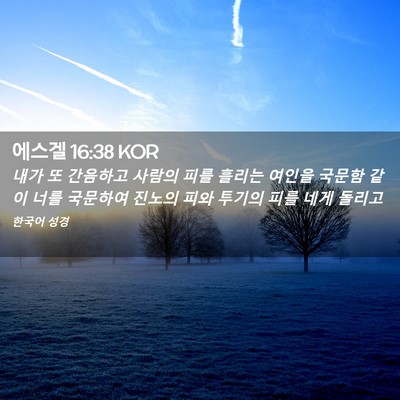 Picture 02 - 에스겔 16:38 KOR - 내가 또 간음하고 사람의 피를 - Bible Verse Picture