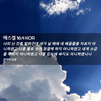 Picture 02 - 에스겔 16:4 KOR - 너의 난 것을 말하건대 네가 날 때에 - Bible Verse Picture