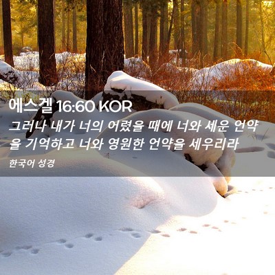 Picture 02 - 에스겔 16:60 KOR - 그러나 내가 너의 어렸을 때에 너와 - Bible Verse Picture
