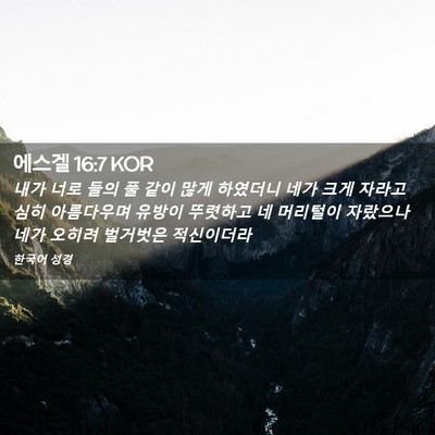 Picture 02 - 에스겔 16:7 KOR - 내가 너로 들의 풀 같이 많게 - Bible Verse Picture