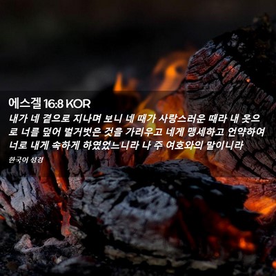 Picture 02 - 에스겔 16:8 KOR - 내가 네 곁으로 지나며 보니 네 때가 - Bible Verse Picture
